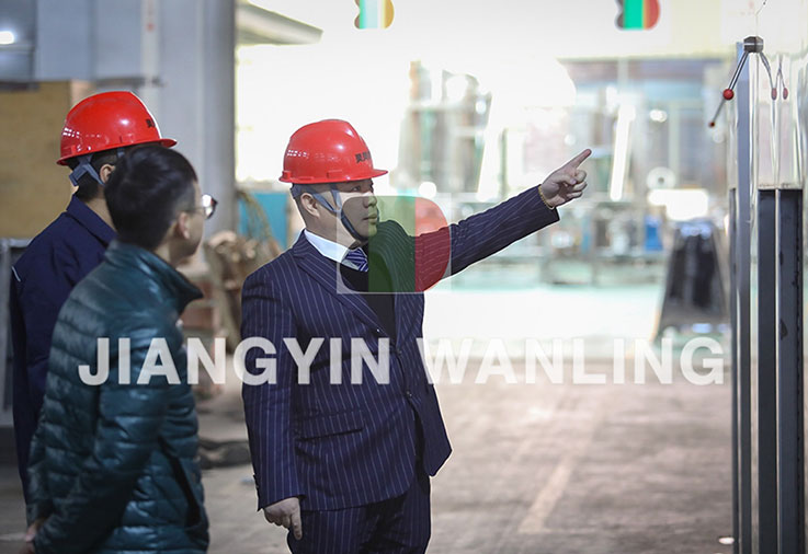 Jiangyin Wanling شرکت بین المللی تجارت ، آموزشی ویبولیتین